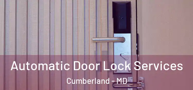 Automatic Door Lock Services Cumberland - MD