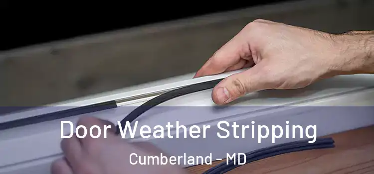  Door Weather Stripping Cumberland - MD