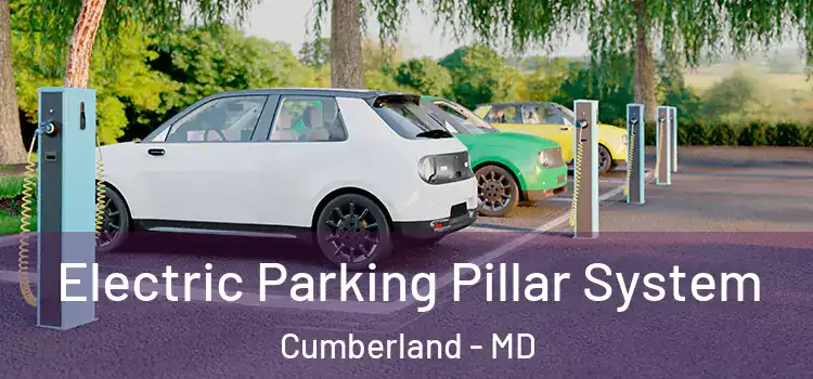  Electric Parking Pillar System Cumberland - MD