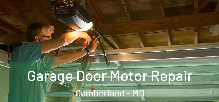  Garage Door Motor Repair Cumberland - MD
