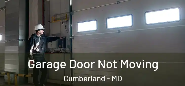 Garage Door Not Moving Cumberland - MD