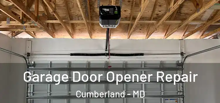  Garage Door Opener Repair Cumberland - MD