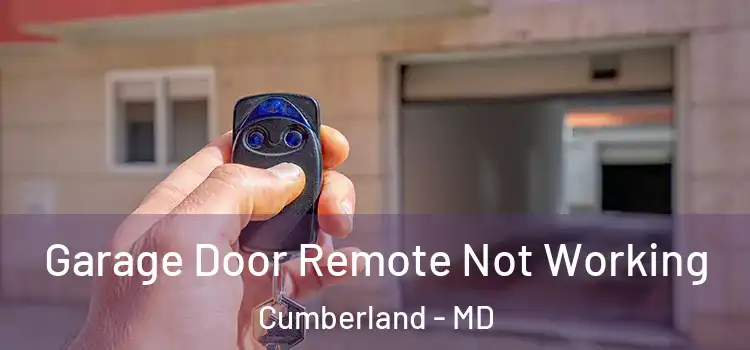  Garage Door Remote Not Working Cumberland - MD