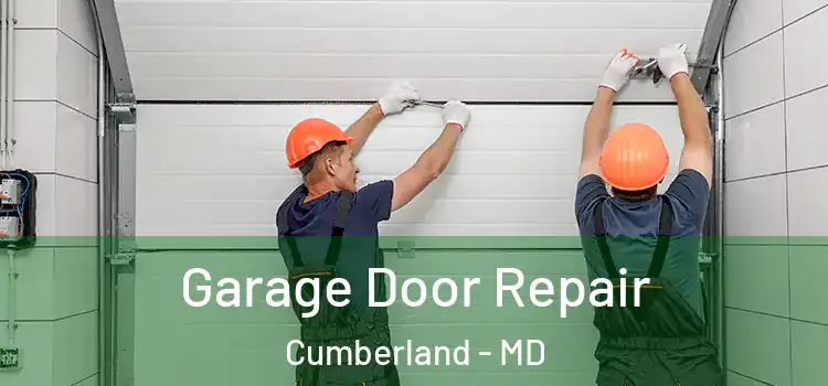  Garage Door Repair Cumberland - MD