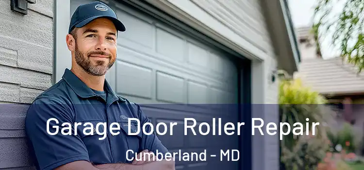  Garage Door Roller Repair Cumberland - MD