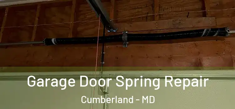  Garage Door Spring Repair Cumberland - MD