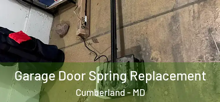  Garage Door Spring Replacement Cumberland - MD
