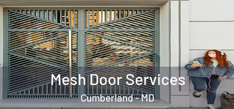  Mesh Door Services Cumberland - MD