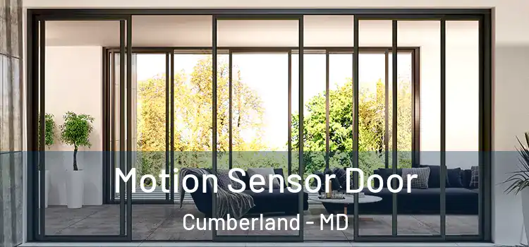 Motion Sensor Door Cumberland - MD